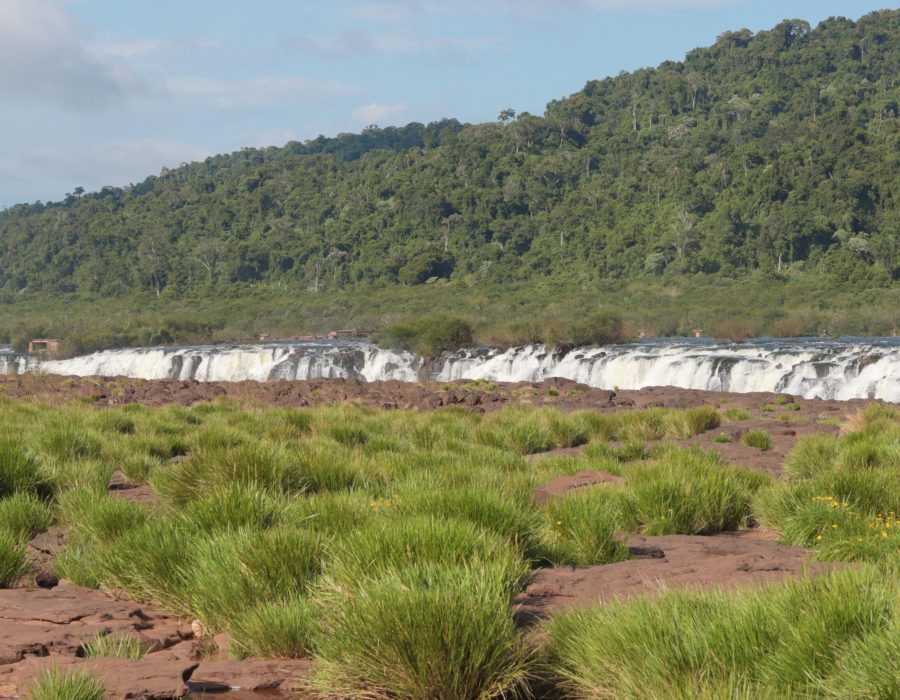 Macuco Yucumã (4)