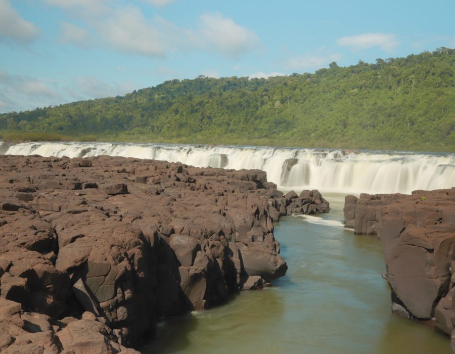 Macuco Yucumã (5)